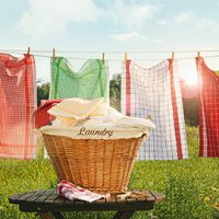 Coin Laundry